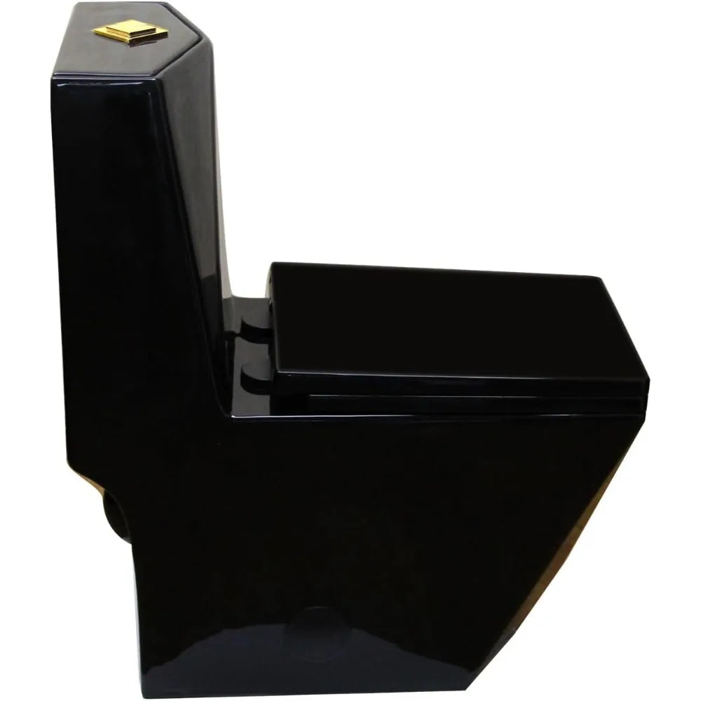 Modern Black Toilet with Gold Button