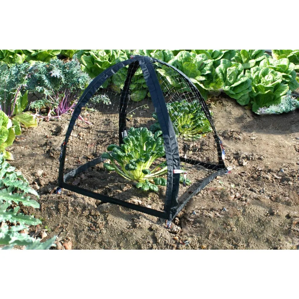 Black Garden Supplies 2 Pack Pest Guard Cover Agriculture Grow Accessories Gardening Farming Accsesories Plant Support Care Home